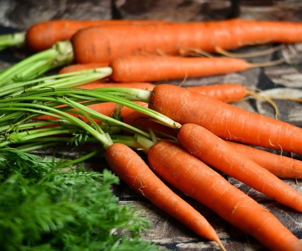 गाजर के औषधि गुण जानकर रह जाएंगे हैरान इन सब चीजों में लाभदायक है गाजर