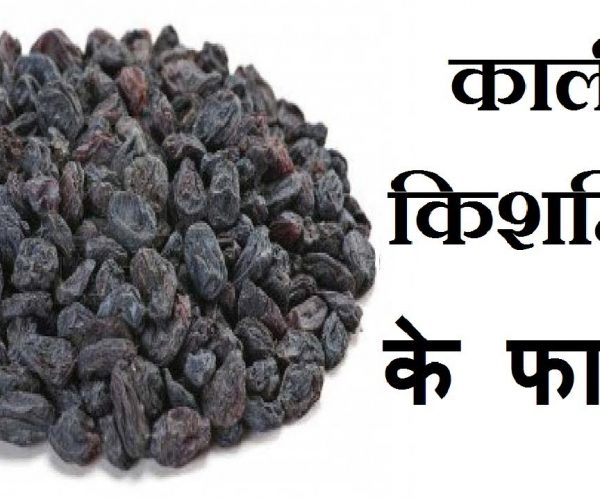Black Raisins Benefits : दूध में मिलाकर पिएं काली किशमिश, ये बीमारियां हो जाएंगी छूमंतर