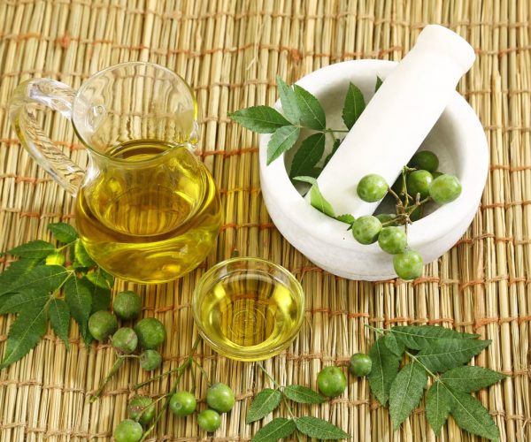 Wonderful Benefits of Neem Oil to Stop Hairfall and Cure Skin Related Problems